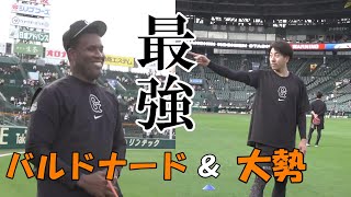 最強！バルドナード＆大勢