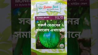 সকল বেগুনের সমারোহ এখানে// পছন্দ আপনার বীজ আমাদের