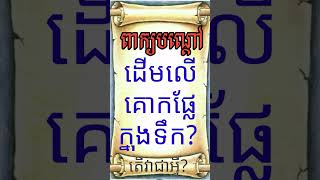 LYLY  PEKBONDOA. Khmer riddle.. ដើមលើគោកផ្លែក្នុងទឹក?