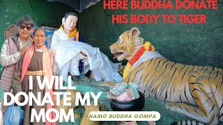 I will donate my mom/here Buddha donate his body to tiger#jabevlogs#iwilldonatemymom