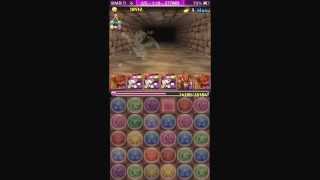 【パズドラ】金曜ダンジョン超地獄級 赤おでんで高速周回！1分切り