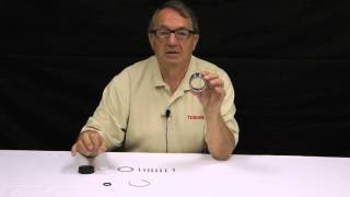 Seals Technology with Steve Lemberger