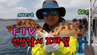 선상낚시X파일 게스트 촬영 줄타는 재미 그리고 역대급 만찬 Goldeye rockfish , ウスメバル , usumebaru fishing