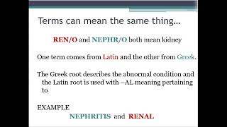 Medical Terminology-Basic Word Structure