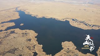 Breathtaking views of Bosten lake, a paradise for waterfowls