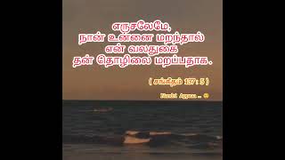 எருசலேமே நான் உன்னை மறந்தால் என் வலதுகை தன் தொழிலை மறப்பதாக ...#glory #gloryofjesus#god#jesus#விரல்