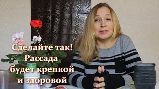 Начинаю посев семян на рассаду. Всегда так делаю чтобы рассада была крепкой и здоровой