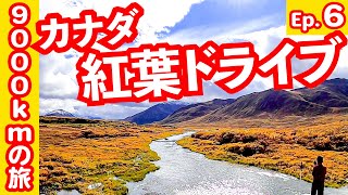 【カナダ9,000kmの旅/ Epi.６】セミリタイア夫婦＋愛犬、海外キャンピングカーの旅。西部劇の世界を思わせるドーソンシティ。紅葉の中をドライブ、川のフェリーに乗船した！大自然の絶景。