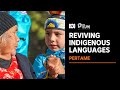 Saving Indigenous languages from extinction | The Drum | ABC News