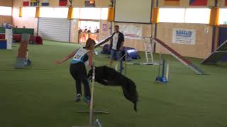 Clash Folly .:Finale SAC 2017:. [AGILITY]