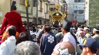 迫力満点！鳥越祭り 2016 本社神輿渡御・柳北町会 Torigoe festival  Portable shrine \