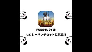 【PUBG MOBILE】Travelerクレート　セクシーパンダセットをGET！？