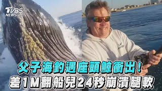 父子海釣遇座頭鯨衝出！差1M翻船兒24秒崩潰腿軟｜TVBS新聞｜擠看看 #shorts