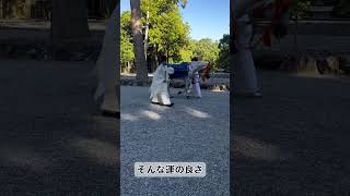 貴重！伊勢神宮外宮の白馬（神馬）の歩いている姿に出会えました！皇室から送られた神馬です