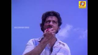 வறுமையின் நிறம் சிவப்பு |  Varumai Niram sivappu  | Kamal Haasan \u0026 Sridevi | Songs