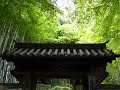 京都洛西　竹の寺地蔵院 kyoto rakusai jizouin temple in kyoto