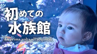 【生後７ヶ月】初めての水族館に大興奮！気分はアリエル🧜‍♀️ リトル過ぎるマーメイド!! 赤ちゃんvlog【サンシャイン水族館】