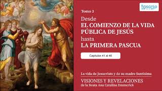 VISIONES Y REVELACIONES DE ANA CATALINA EMMERICK. TOMO 3. VIDA PÚBLICA DE JESÚS (capítulos 41 a 46)