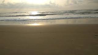 Scenic beauty | ECR beach | Chennai | India