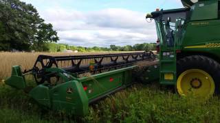 Harvesting Rye