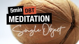 Meditation to improve your FOCUS | Single Object Mindfulness | DBT Skills
