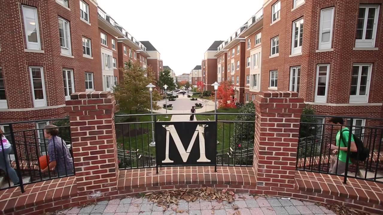 University Of Maryland College Park Undergraduate Admissions Address ...