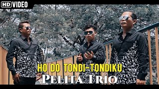 Pelita Trio - Ho Do Tondi Tondiku  Lagu Batak Terbaru 2020