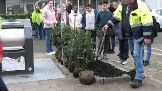 Leerlingen van de Marcusschool plakken stickers en planten stuiken