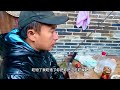 四十小伙和猪九戒重返小茅屋，只剩下浪哥和阿根