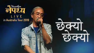 Nepathya - Chhekyo Chhekyo (छेक्यो-छेक्यो) | Live in Nepathya Australia Tour 2019