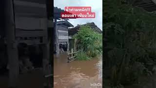 #น้ำท่วม #ข่าวใหม่ #ฝนตก #อุทกภัย #ดอยเต่า #เชียงใหม่ #ข่าวฝนตก #news #thailand