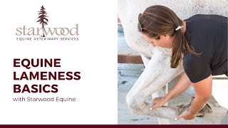 Equine Lameness Basics | Horsey Hour with Starwood Equine