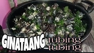 GINATAANG TUBING-TUBING