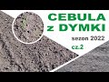 Cebula z dymki sezon 2022 cz. 2