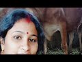 kalyani  vlogs is live