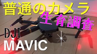 DJI MAVIC PRO普通のカメラで生育調査からの分析やってみた‼️