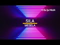 Sıla - Mesela (Sözleri - Lyrics) | N'oldu namın, şanın oldu mu PİÇ