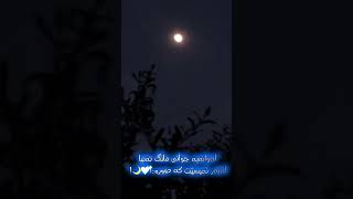 تــا چەنــــد لــە ڤــیدیۆکــــانـمـ ڕازیــــن ...؟🥺🤍