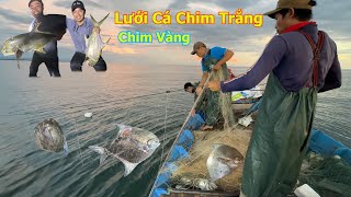 Lưới cá chim trắng cá chim vàng đánh bắt cá chim trắng và chim vàng - Dân Biển