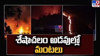 Fire in Seshachalam forest : శేషాచలం అడవుల్లో మంటలు - TV9