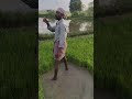 இப்படிதான் விவசாயம் செய்வாங்களோ 🤩 shorts shortvideo viral agriculture agri விவசாயம் vivasayam