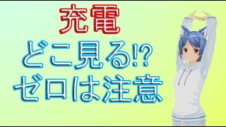 Vtuber早乙女ちえがスッキリ解決！#10 ノーパンク電動自転車の充電は一目で分かる？