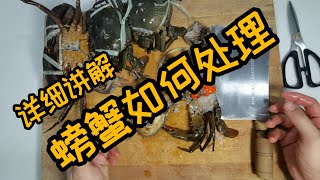 鱼仔直播｜螃蟹 ｜如何处理和清洗(详细讲解)｜How to prepare crab