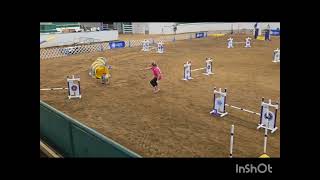 Sparkle  J3 Jumpers ISCH 10/12/24 Judge Reetta Pirttikoski