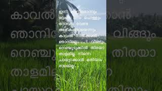 ഇനി കണ്ണീരോന്നും വേണ്ട മനം പൊള്ളും നോവും വേണ്ട അരികത്തായെന്നും കാവൽ നിൽക്കാൻ ഞാനില്ലേ...! #song