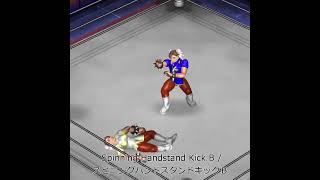 FirePro FPW ファイプロ Spinning HandstandKickB スピニングハンドスタンドキックＢ