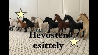 HEVOSTEN ESITTELY