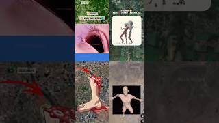 MUST SEE📍 Best Scary Finds on Google Maps 😨 #alexmaps #googlemaps #googleearth