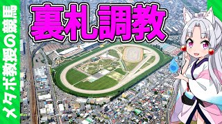 【馬券戦術論】夏競馬、函館＆札幌開催に異変あり