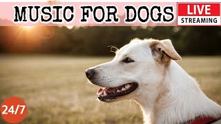 [LIVE] Dog Music🎵Relaxation Music to Calm Your Dog🐶🎵Separation Anxiety Relief Music💖Dog Sleep🔴1-1
